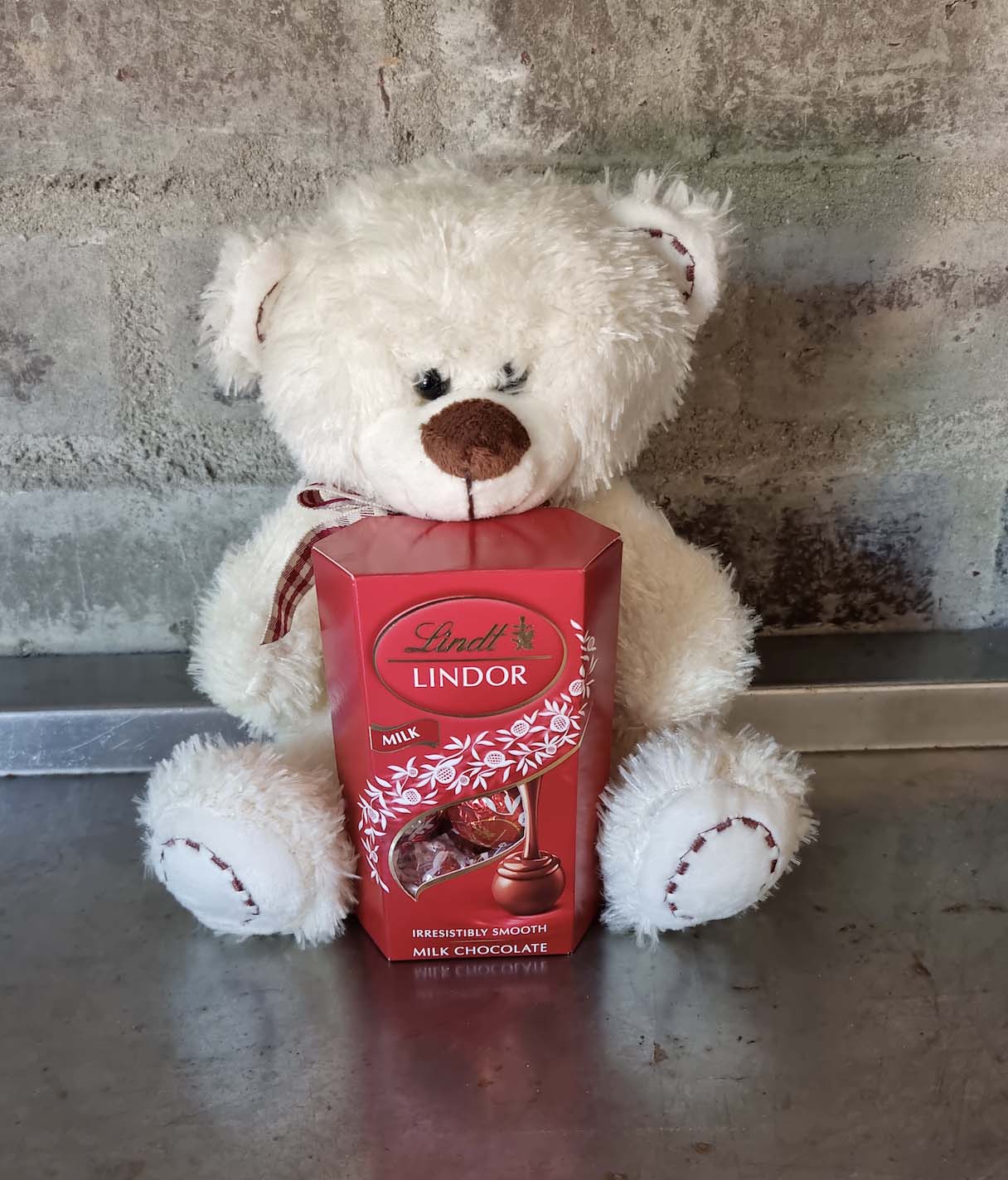 Teddy With Lindt Chocolate